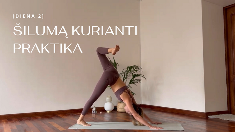 Šilumą kurianti praktika